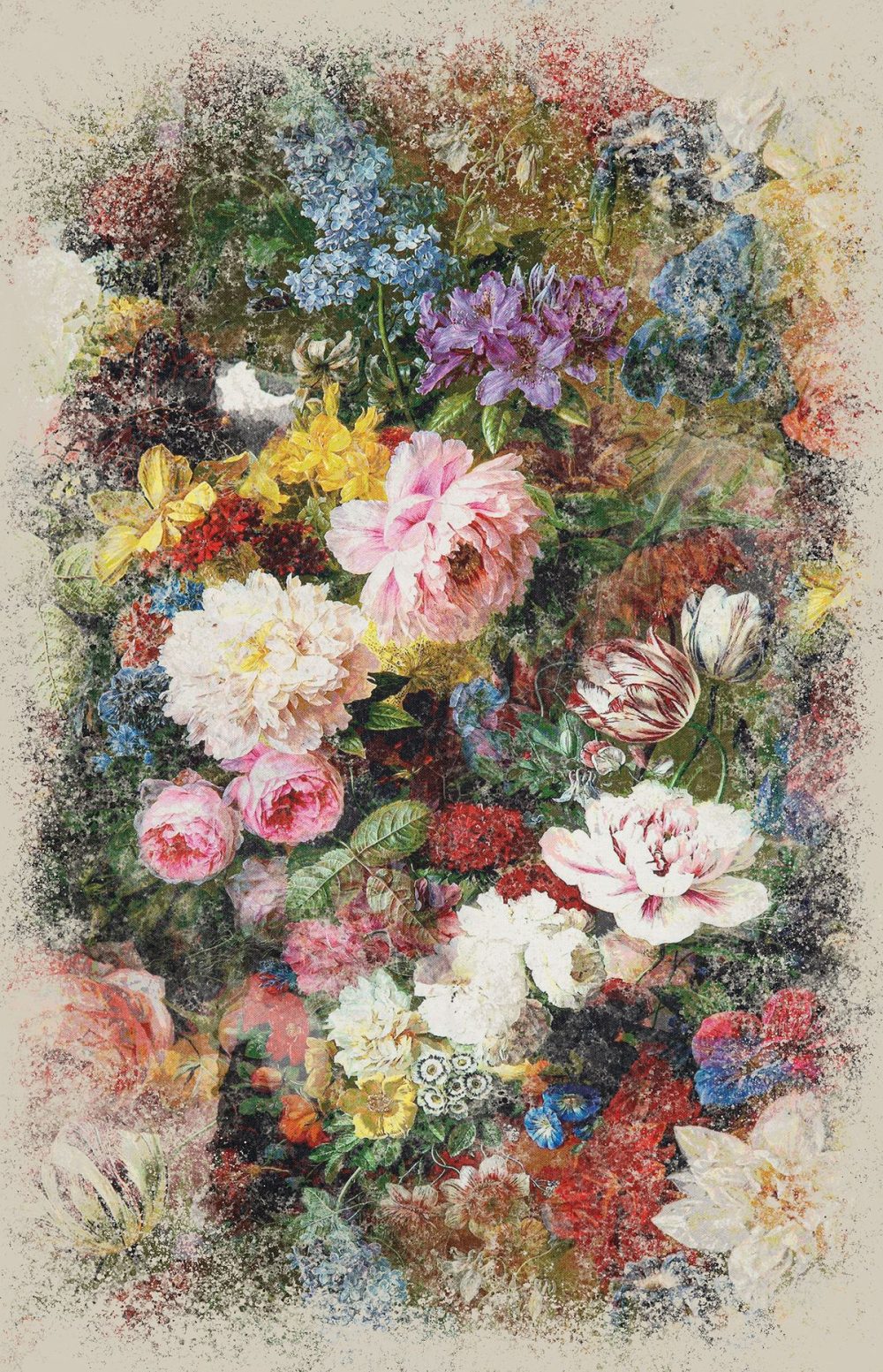 Bosschaert Panna