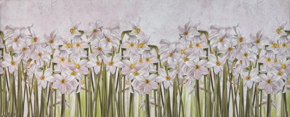 Narciso