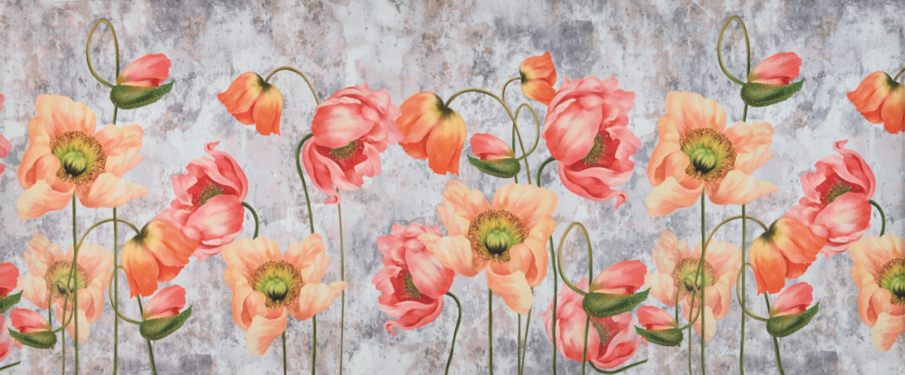 Tulipani